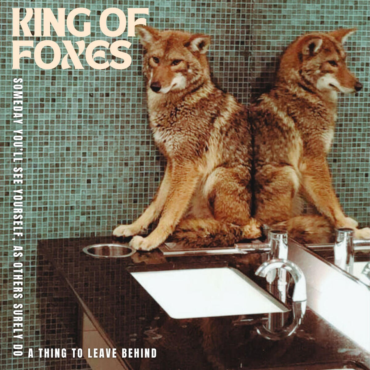 King of Foxes – Someday You'll See Yourself As Others Surely Do, A Thing To Leave Behind